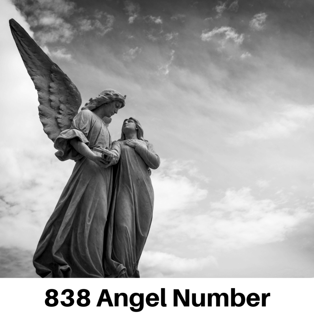 If 838 Angel Numbers is popping up, this is a good sign. The 838 angel number spiritual meaning is one of abundance and faith. 